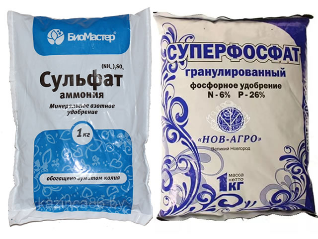 Удобрения для подкормки крыжовника Родник
