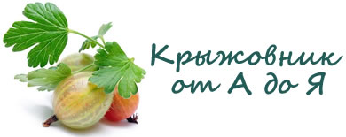 Крыжовник.инфо