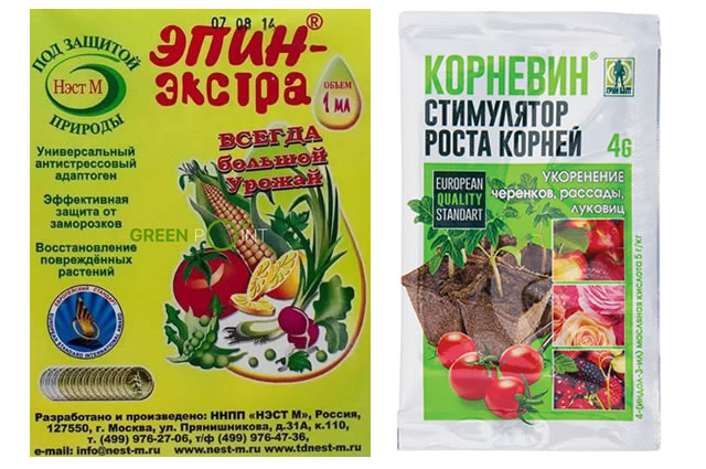 Стимуляторы корнеобразования для крыжовника Медовый