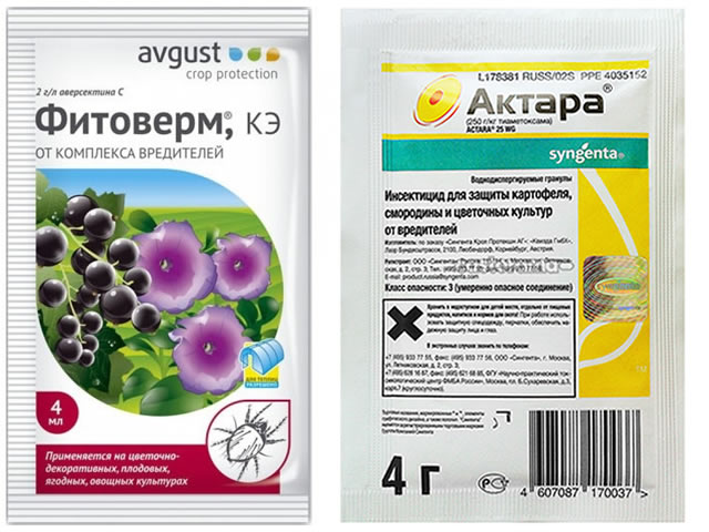 Препараты от тли на крыжовнике