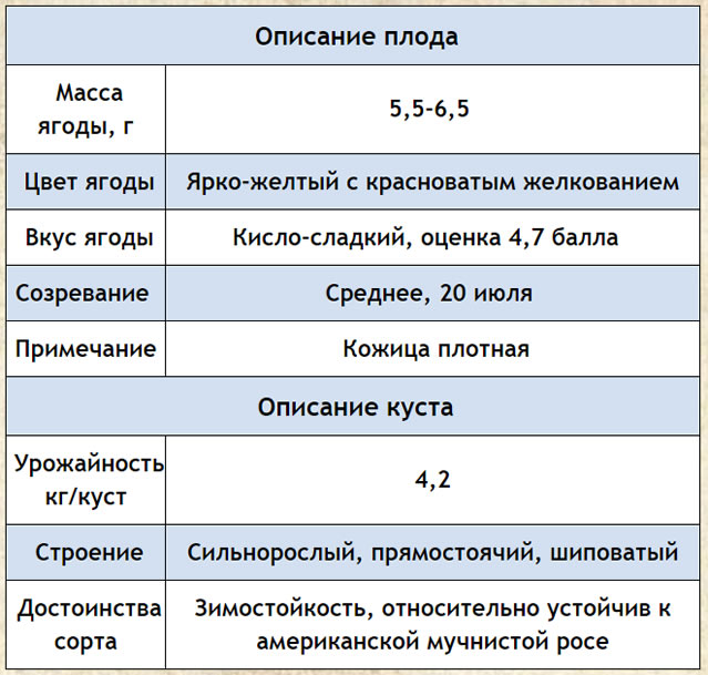 Краткая характеристика крыжовника Юбиляр
