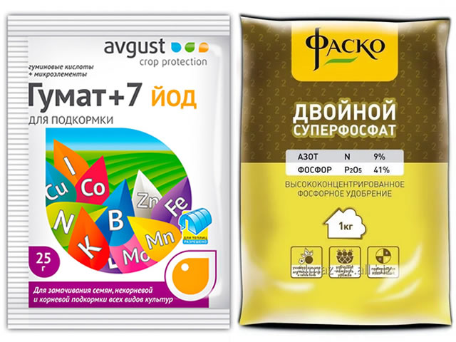 Удобрения для весенней пересадки крыжовника