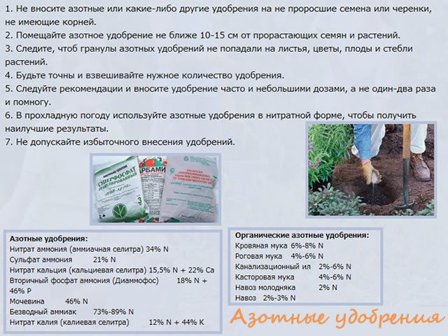 Подкормка крыжовника азотными удобрениями