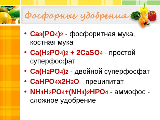 Фосфорные удобрения для весенней подкорми крыжовника
