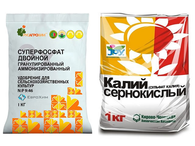 Суперфосфат и сернокислый калий при весенней посадке крыжовника