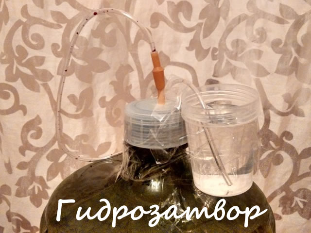 Гидрозатвор для приготовления вина